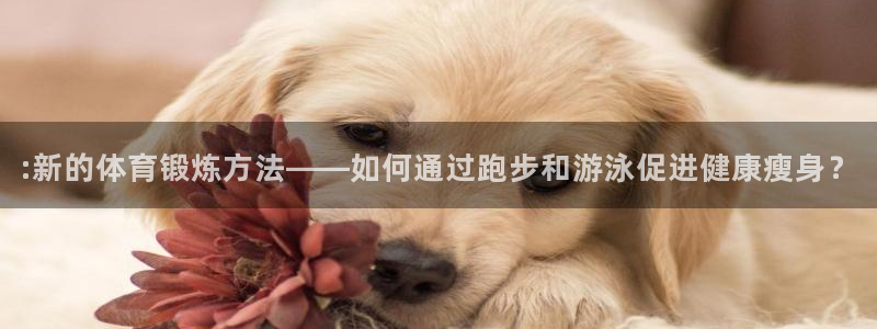 熊猫体育手机版