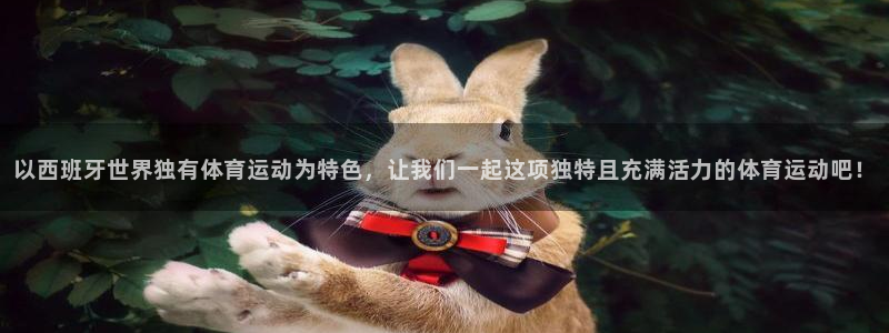 熊猫体育在线