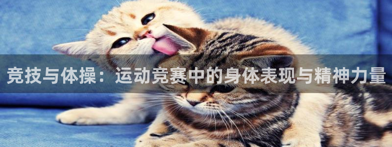 熊猫体育手机版下载：竞技与体操：运动竞赛中的身体表现与精神力量