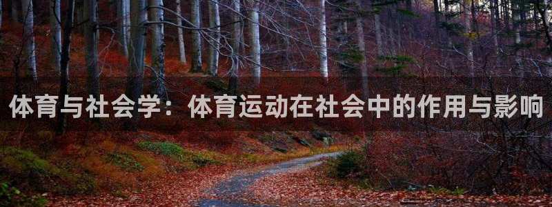 熊猫体育官网首页入口：体育与社会学：体育运动在社会中的作用与影响