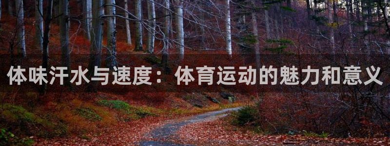 熊猫体育文化有限公司：体味汗水与速度：体育运动的魅力和意义