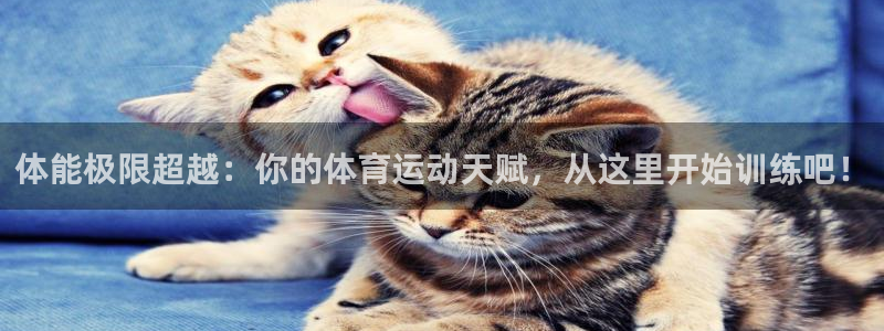 熊猫体育官网