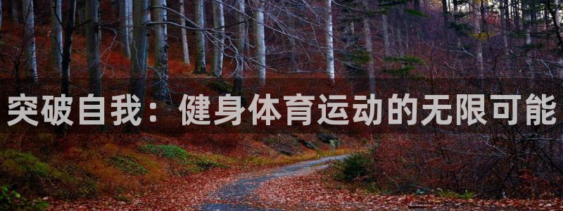 熊猫体育v3.新网页.org