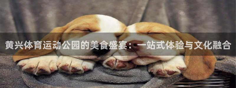 熊猫体育app官方入口
