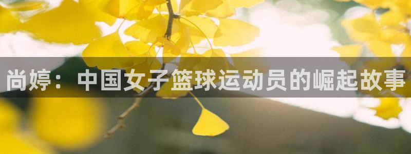 熊猫体育app官方下载最新版：尚婷：中国女子篮球运动员的崛起故事