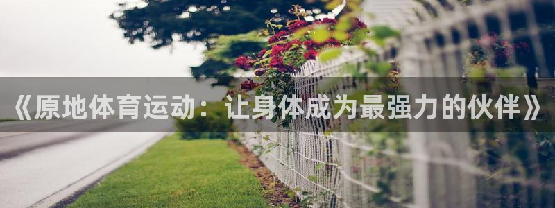 熊猫体育文化有限公司：《原地体育运动：让身体成为最强力的伙伴》